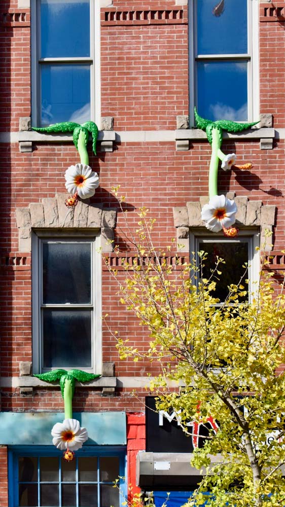 drips-exterior--flowers-of-love - DSC_0008
