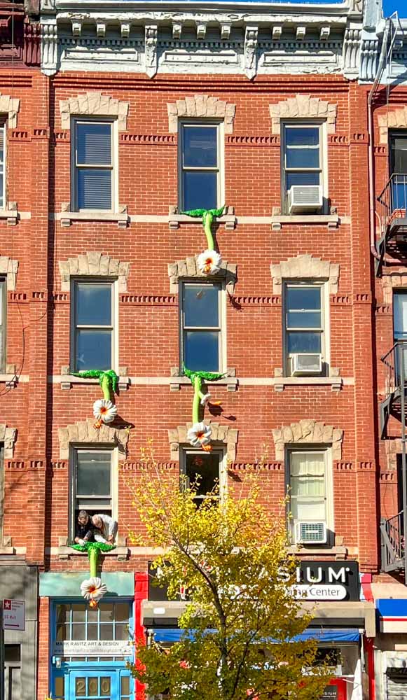 drips-exterior--flowers-of-love - IMG_9550